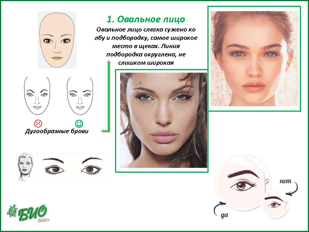 Форма бровей по типу лица. как подобрать форму бровей? :: syl.ru