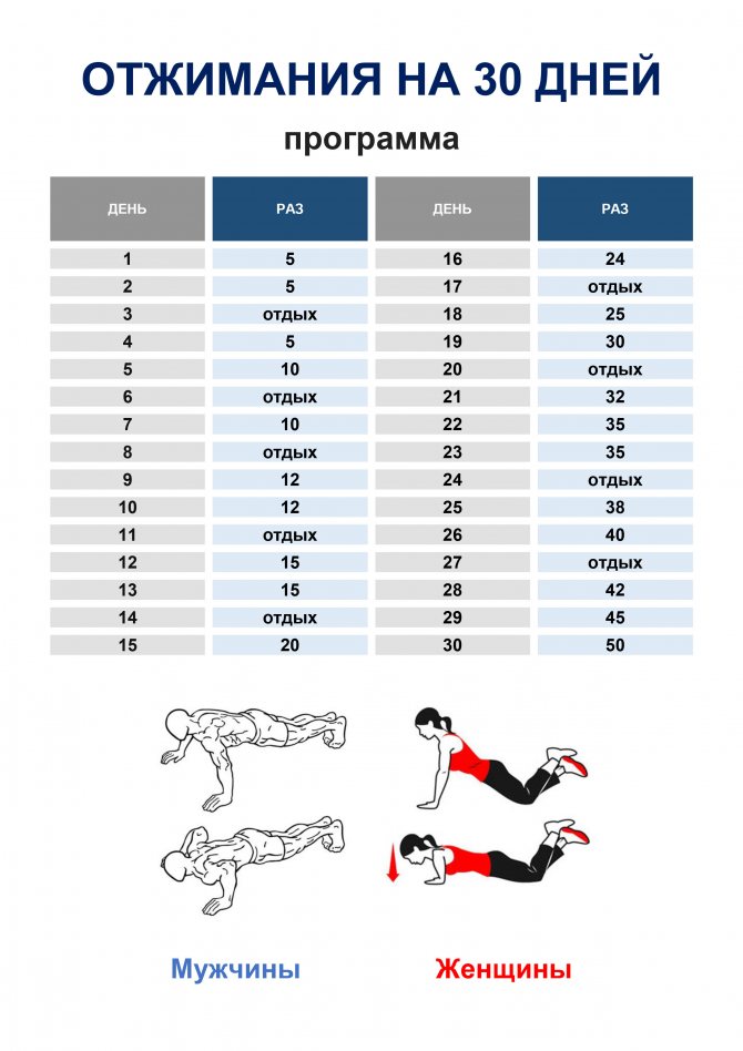 Схема отжиманий от пола на 30 дней для мужчин