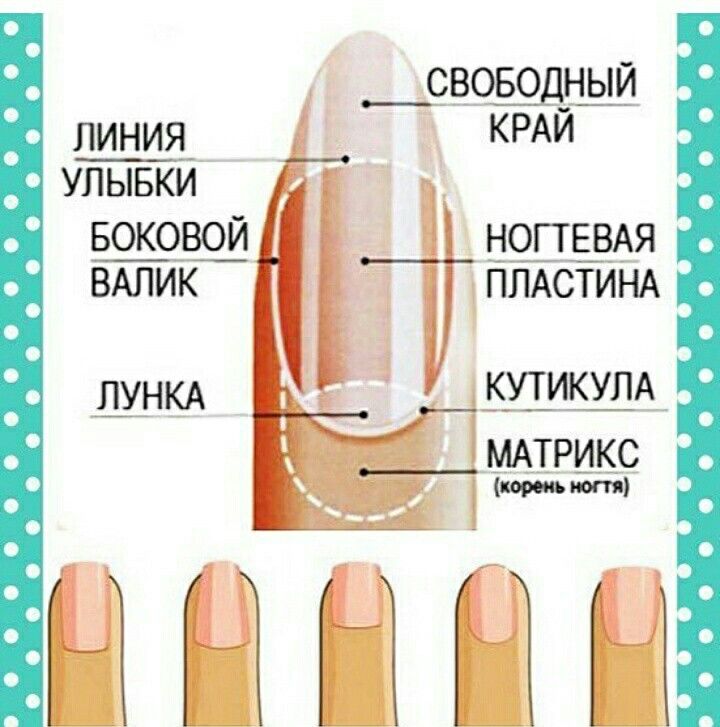 Как правильно и красиво подпиливать ногти квадратной, миндалевидной, овальной формы на руках?