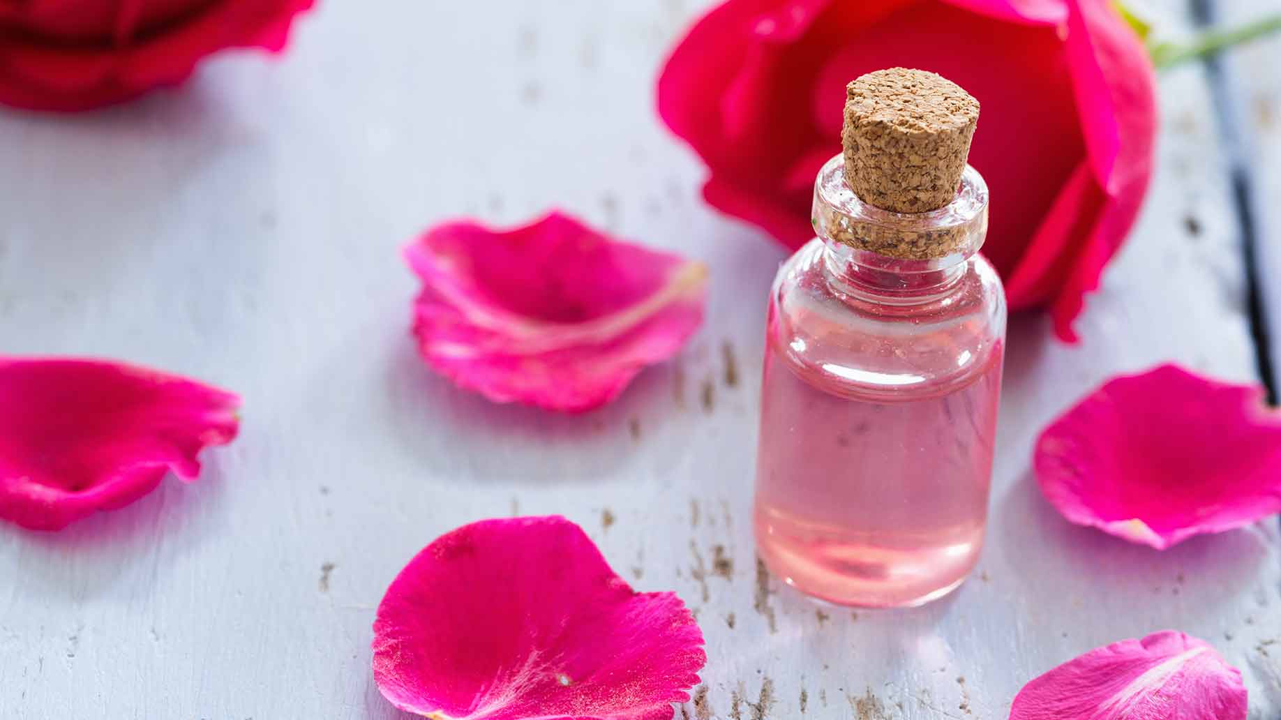 Розовое масло и его полезные свойства. как правильно применять масло розы для красоты и здоровья.