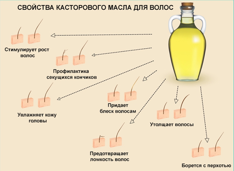 Маска для волос из яйца и касторового масла и других ингредиентов. состав масок для ухода за волосами, инструкция по применению, регулярность процедуры, отзывы и результат - luv.ru