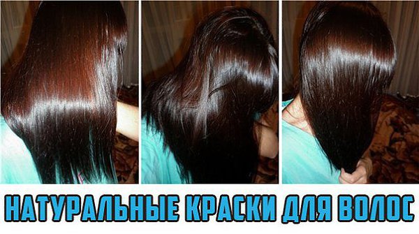 Окрашивание волос басмой: седых, в черный цвет, как развести, как получить оттенки