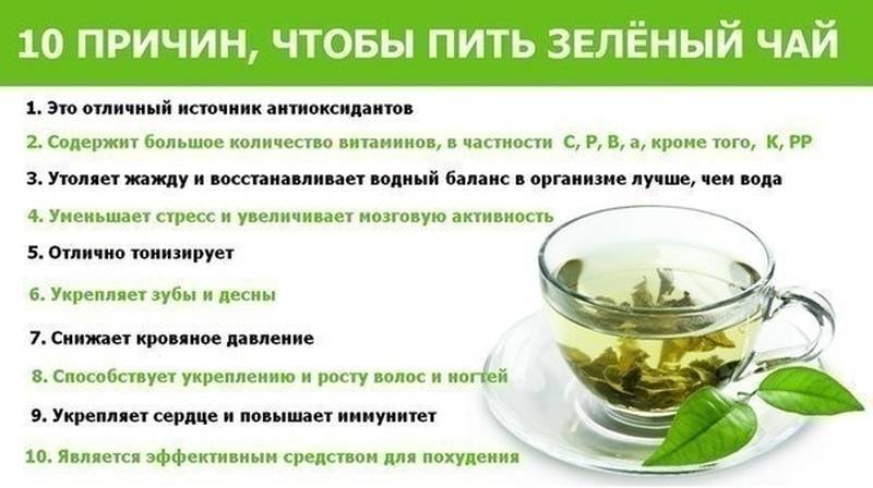 ‍♀️обзор самых эффективных и популярных чаев для похудения, особенности и характеристики