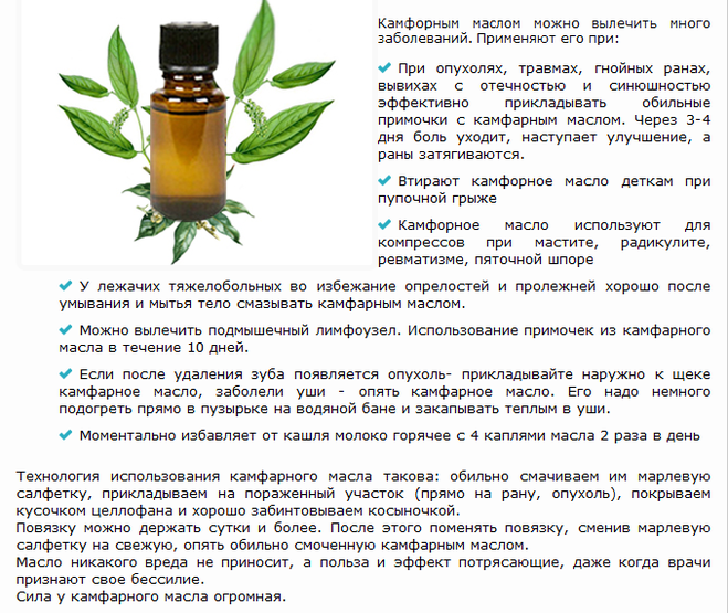 Камфорное масло для лица - свойства, сферы применения, показания и противопоказания к использованию | maritera.ru