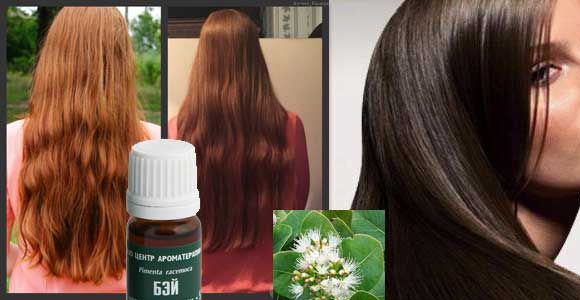 Эфирное масло бей для волос – рецепты для роста и от выпадения