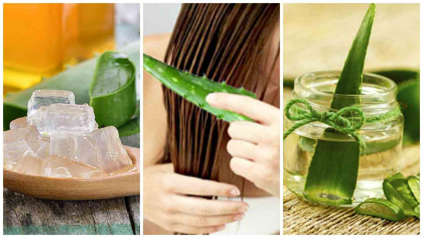 Как использовать сок алоэ от выпадения волос и для их укрепления?