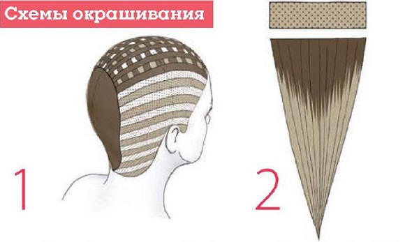 Схемы окрашивания волос - salon-nikol.su