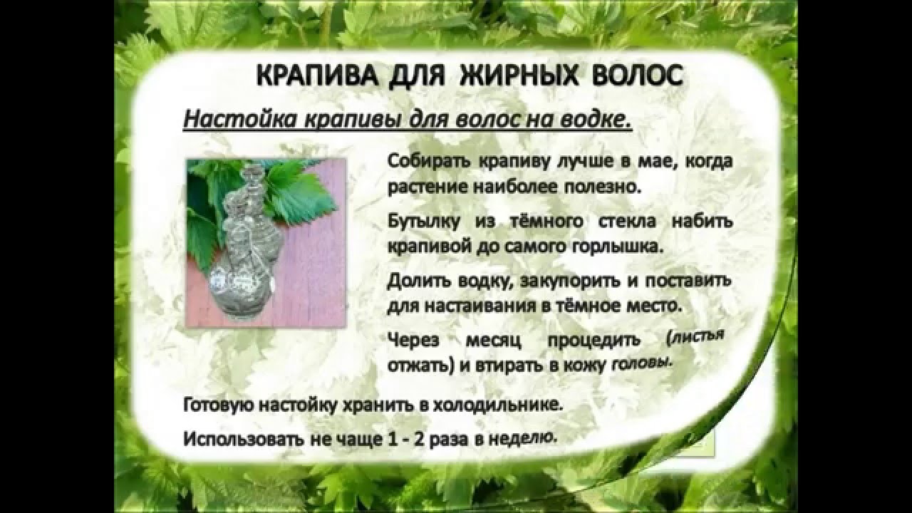 Травы от перхоти: какие растения помогают от зуда и выпадения волос, а также рецепты отваров и настоев
