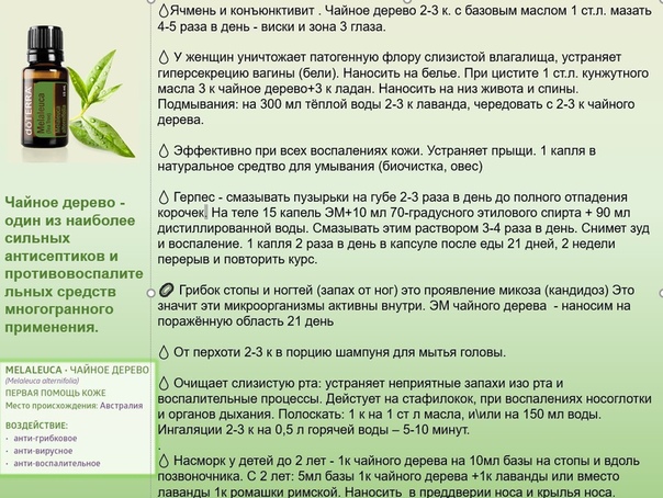 Эфирное масло чайного дерева для лица: правила применения и рецепты масок