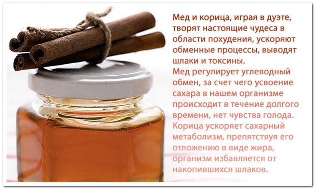 Мед с корицей польза