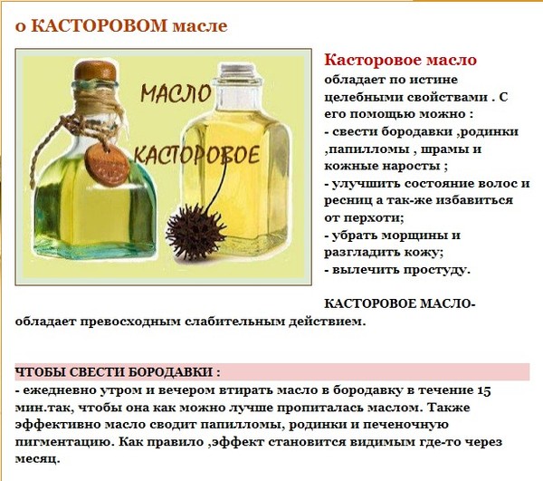 Репейное масло: польза, свойства, применение
