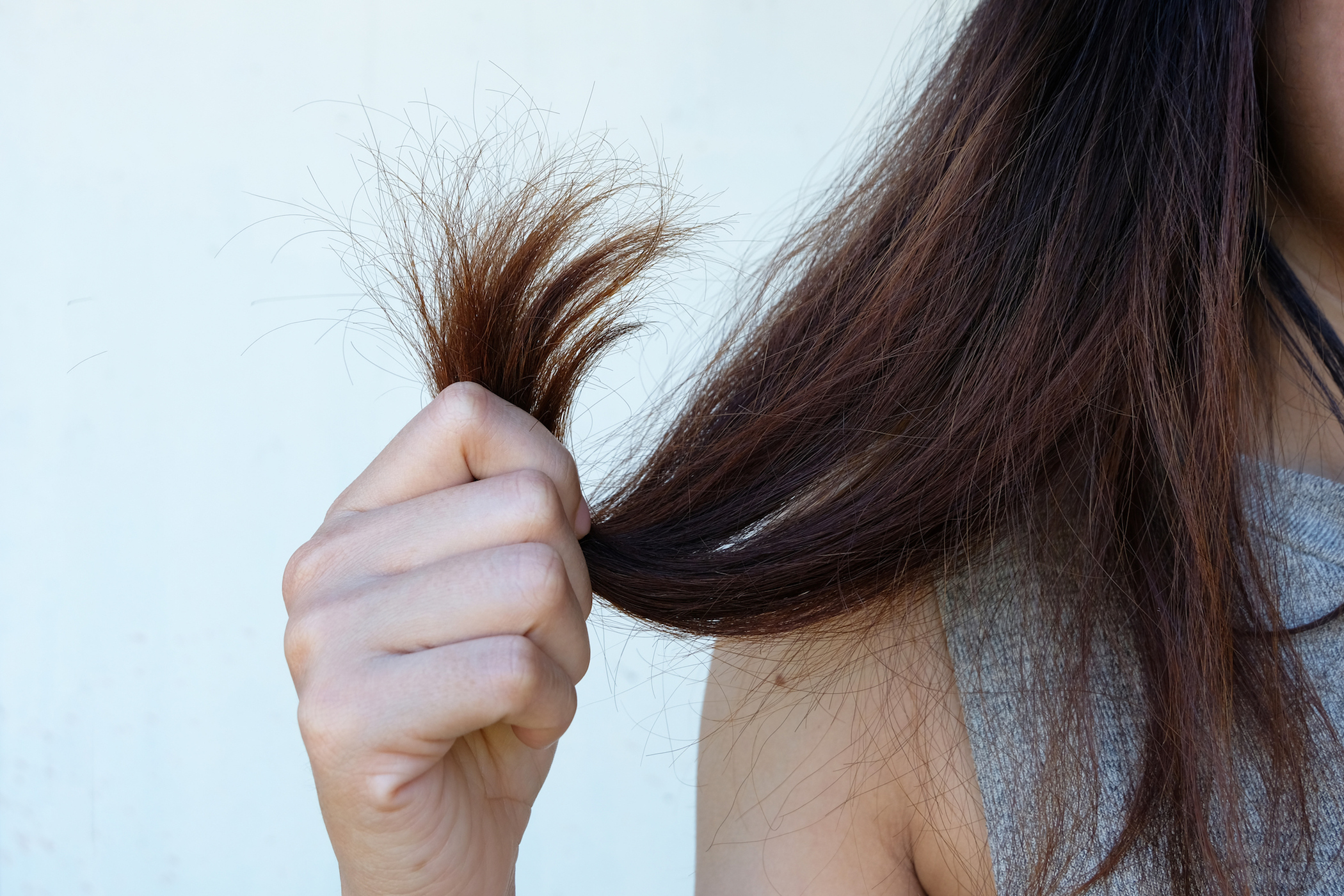 Как вылечить волосы от сухости и пушистости