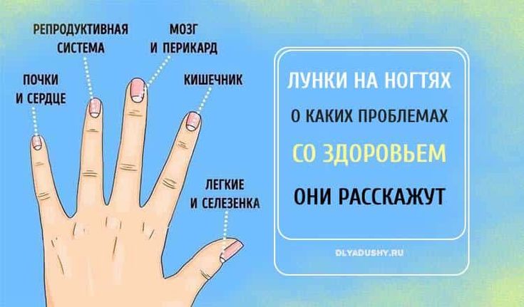 Что такое лунки на ногтях? большие лунки на ногтях пальцев рук и маленькие: значение для здоровья