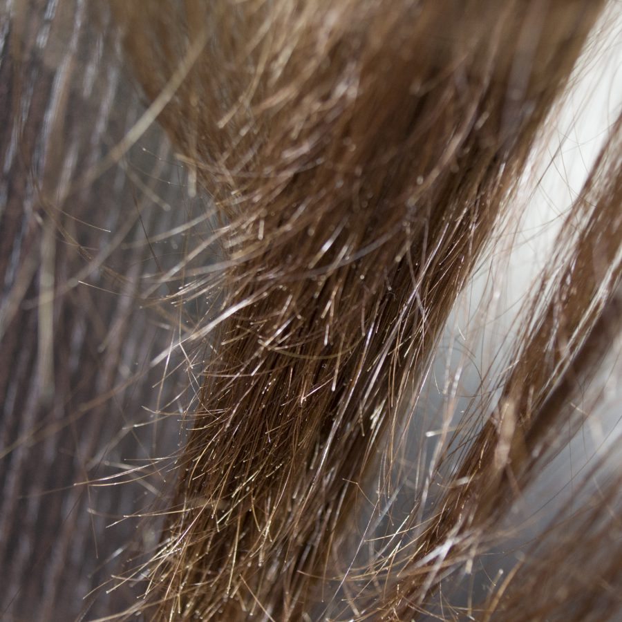 Как восстановить сильно посеченные волосы