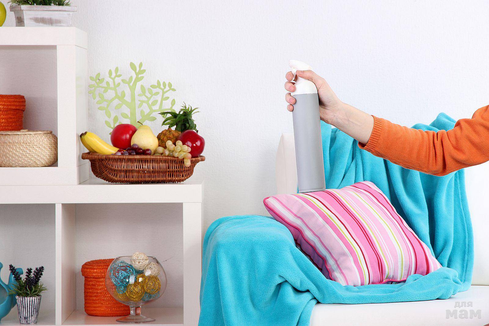 Как избавиться от запаха плесени в квартире — способы, как можно убрать запах от плесени в доме