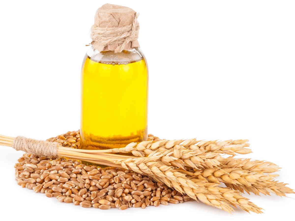 Масло зародышей пшеницы: свойства и применение в косметологии, медицине, для волос, бровей и ногтей, отзывы