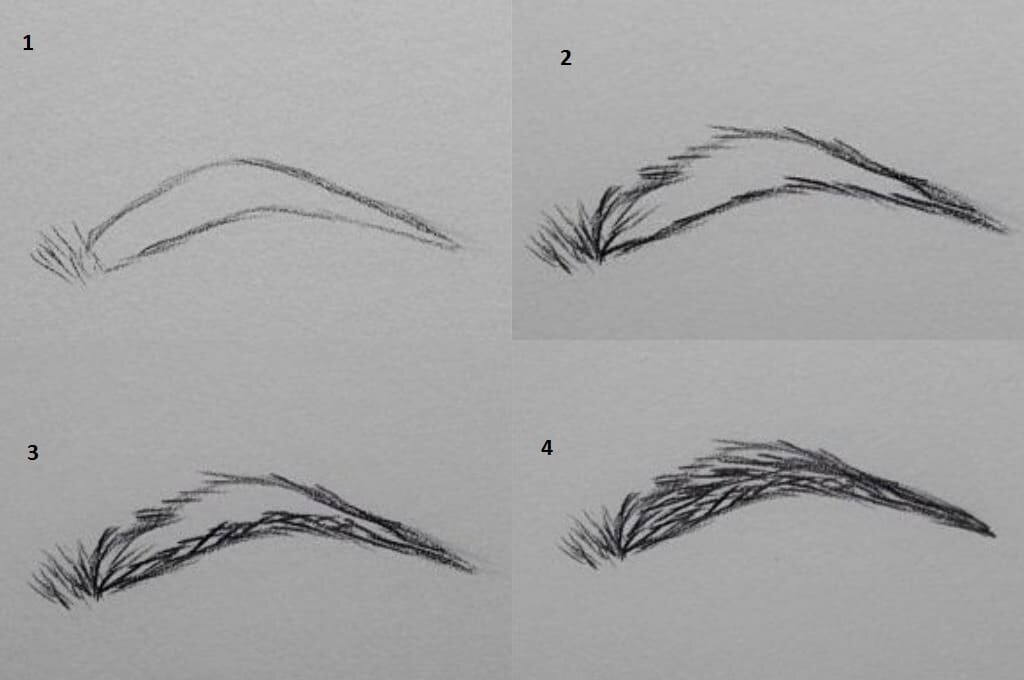 Как правильно красить брови карандашом (нарисовать) — поэтапно для начинающих
