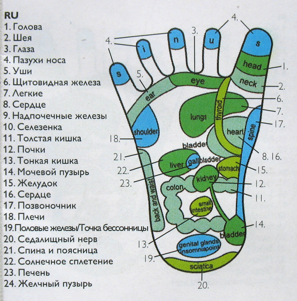 Массаж ног - все виды, техники выполнения и рекомендации • журнал nails