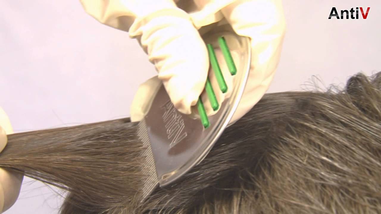 Можно ли убить гнид утюжком для волос в домашних условиях