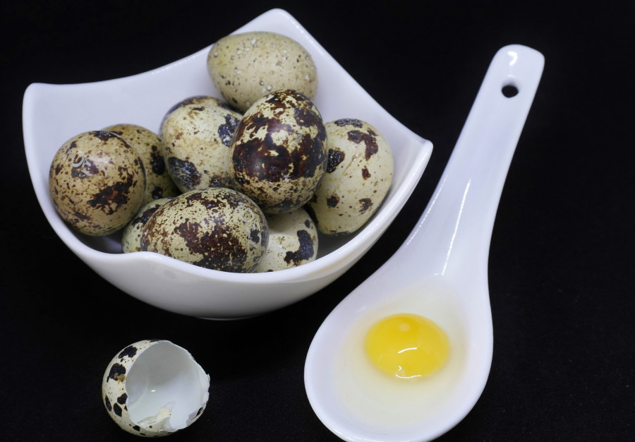 Яйцо перепелиное: польза и вред | food and health