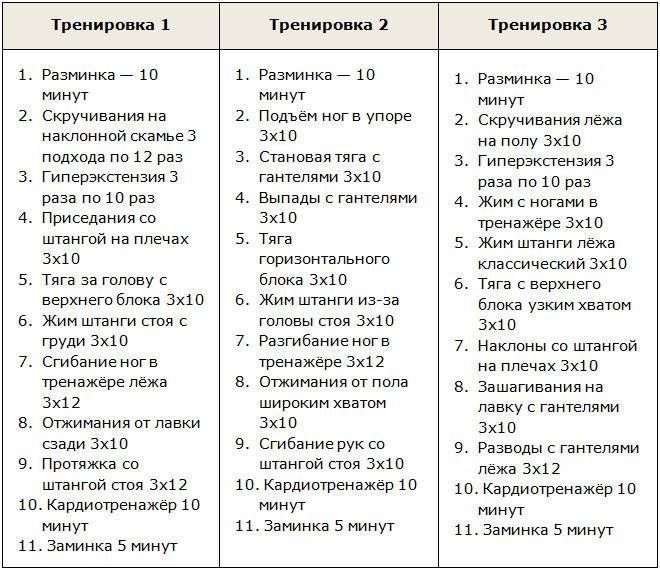 Программа тренировок для набора мышечной массы
