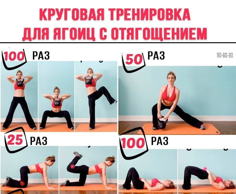 Силовые упражнения в спортзале для девушек: главные правила занятий