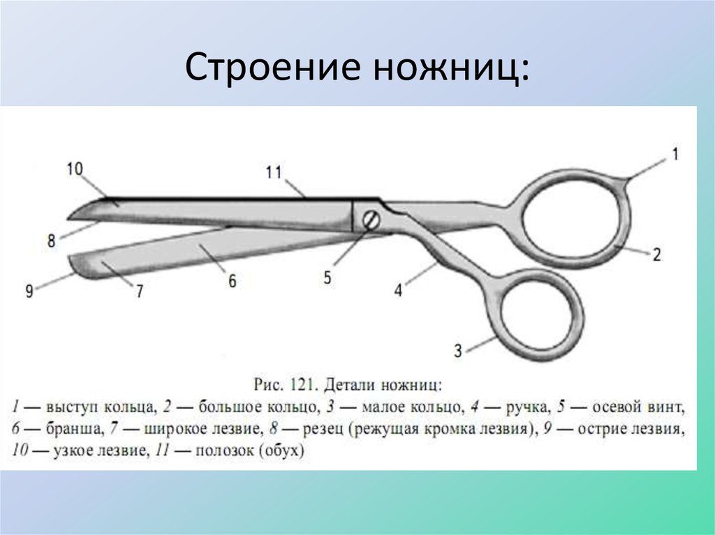 Как называется изображенный на рисунке элемент окна ножницы