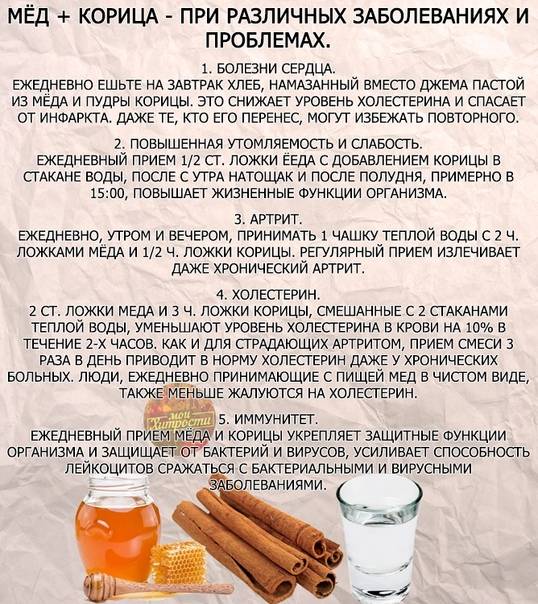 Роль правильного питания в поддержании нормального веса | стимбифид плюс