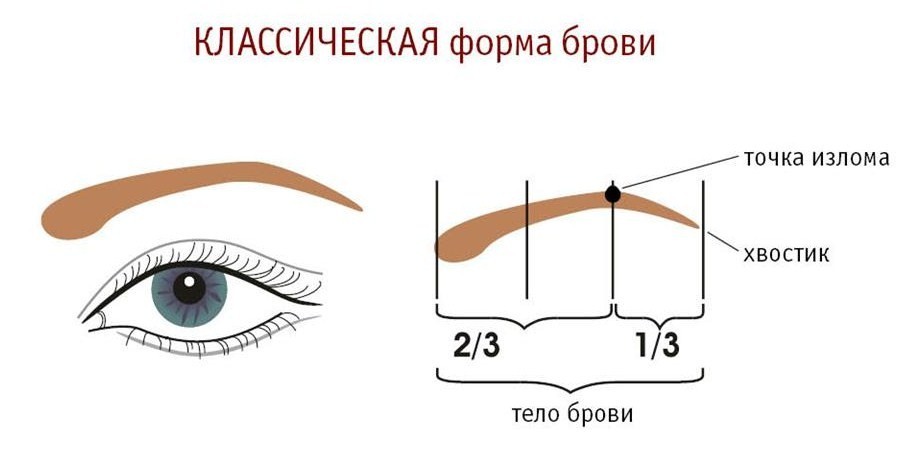 Построение бровей по точкам схема