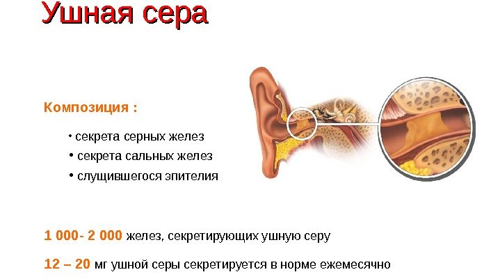 Серная пробка презентация