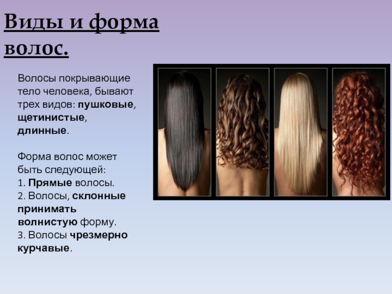 Виды косичек с фото и названиями