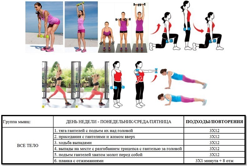 Программа тренировок для ♀девушек в тренажерном зале: ☛ лучшие фитнес комплексы упражнений для красивого тела женщин в спортзале