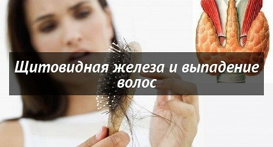 Выпадение волос: какие заболевания вызывают облысение?