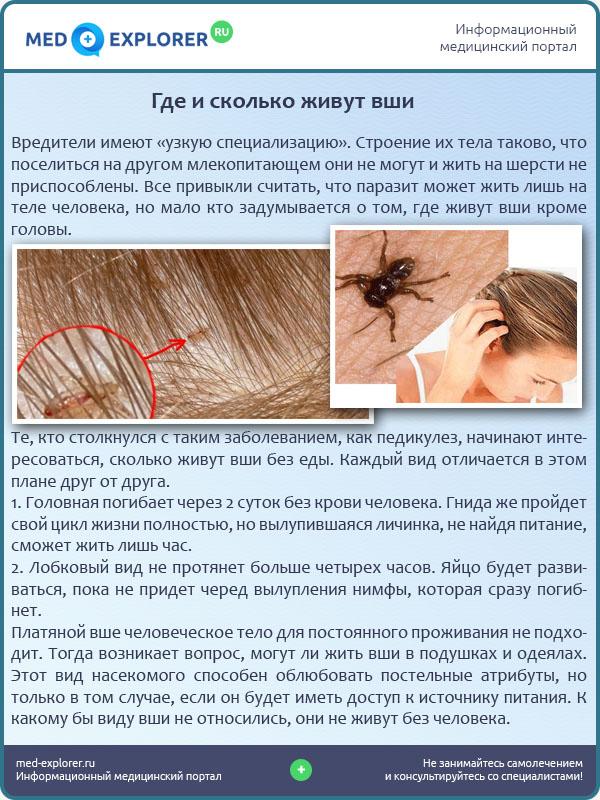 Лобковые вши – пути заражения, симптомы и лечение * клиника диана в санкт-петербурге