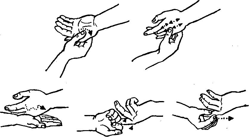Массаж кистей рук: виды, техники – фото, видео