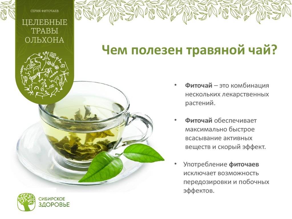 Чай для похудения в аптеках какой лучше и как приготовить его в домашних условиях