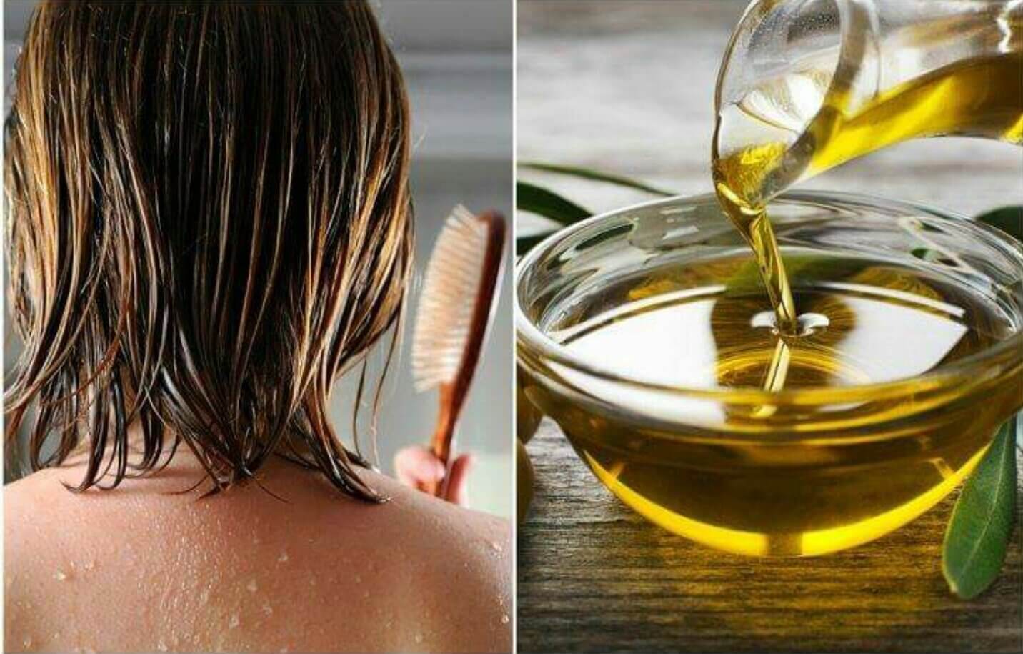 Оливковое масло для роста волос - 9 лучших масок от выпадения