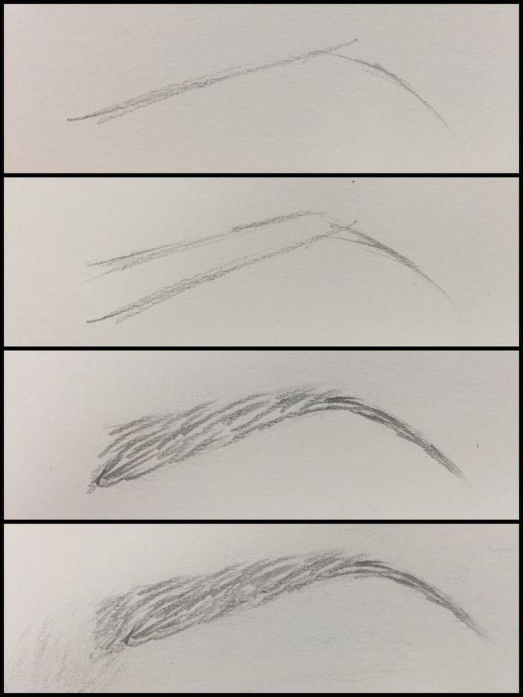 Как правильно красить брови карандашом: техника пошагово и нюансы