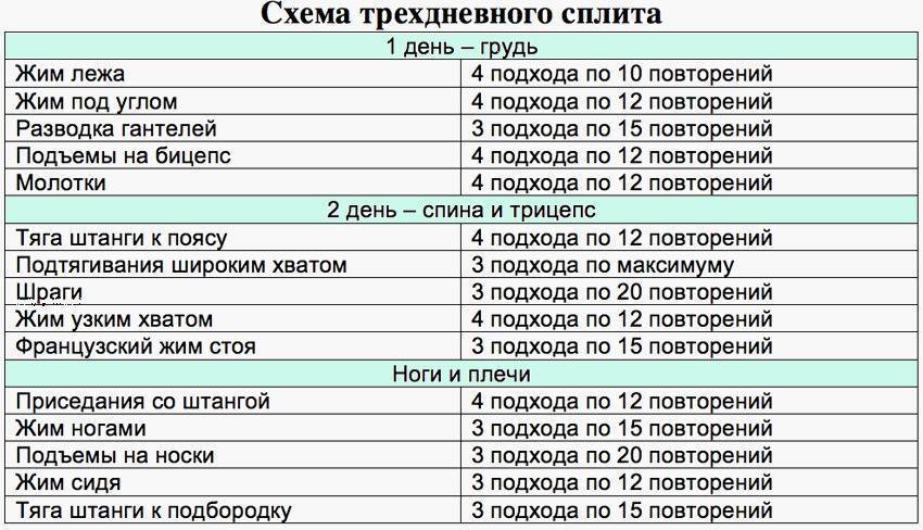 Программа тренировок в тренажерном зале для мужчин