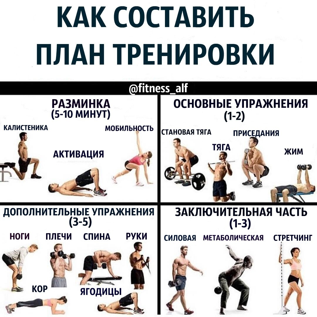 Комплекс упражнений для женщин в тренажерном зале: план тренировки - tony.ru
