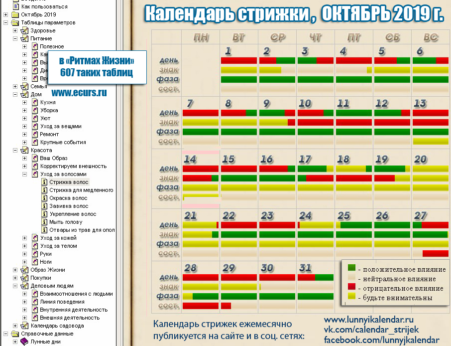 Когда в августе дни денежных стрижек