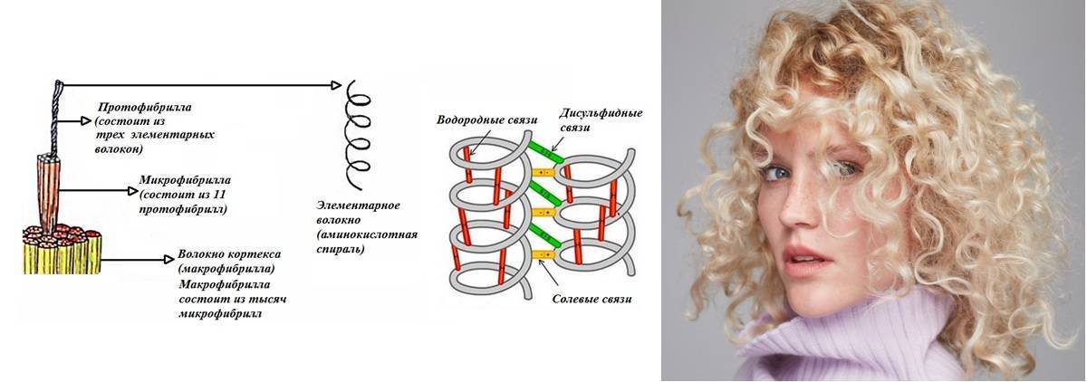 Биозавивка волос – фото до и после: на средние волосы локоны
биозавивка волос: стоит ли игра свеч? — модная дама