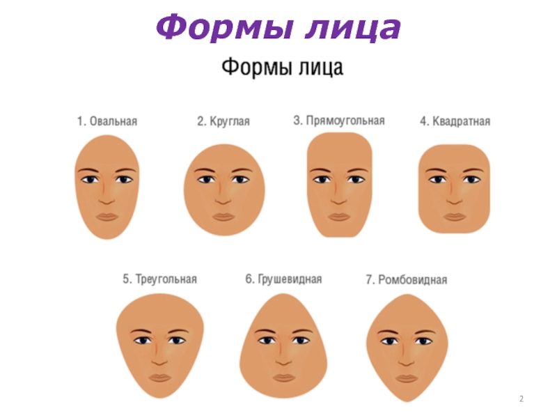 Идеальное лицо и золотое сечение - красивый нос в профиль фото | правильный нос и правильные черты лица мужчины и женщины