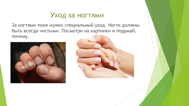Конспект занятия «личная гигиена»