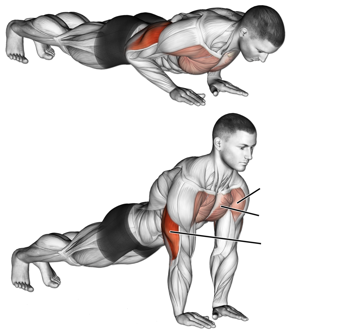Мощный как правильно. Отжимания на трицепс от пола для мужчин. Отжимания узким хватом мышцы. Отжимания с узкой постановкой рук — для трицепса. Отжимания от пола с узкой постановкой рук.
