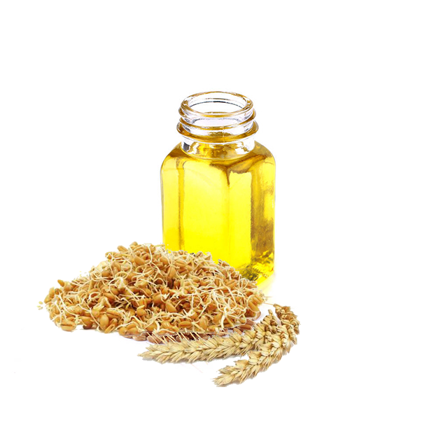 Масло зародышей пшеницы: свойства и применение