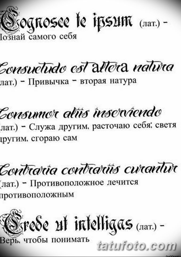 Эскизы тату для мужчин на руку со смыслом надписи на латыни с переводом