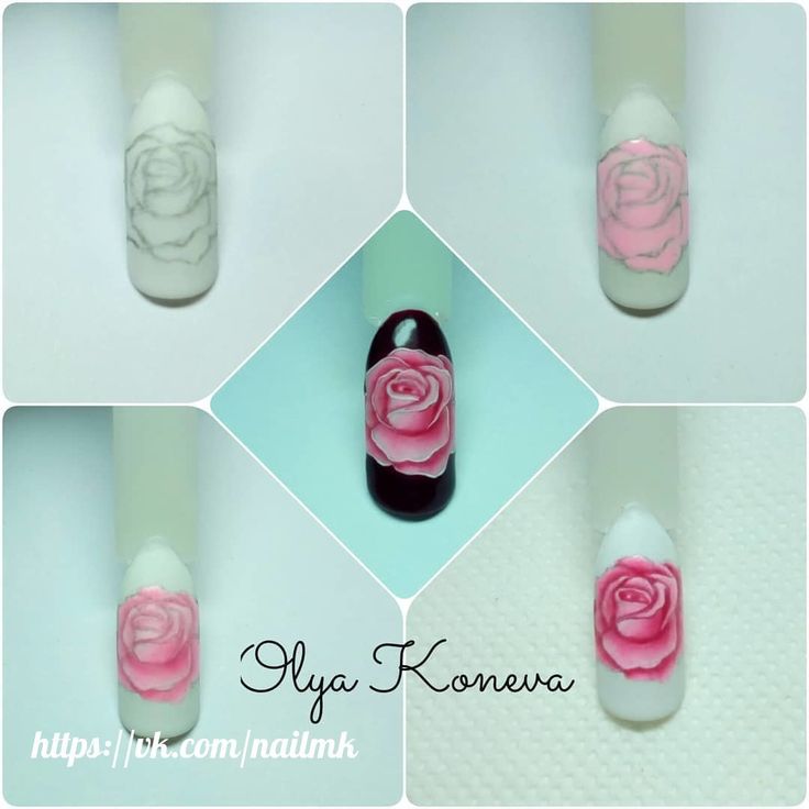 Как нарисовать розу на ногтях поэтапно акриловой краской, китайской росписью для начинающих: схема, фото. трафаретная роза на ногтях пошагово: схема, фото