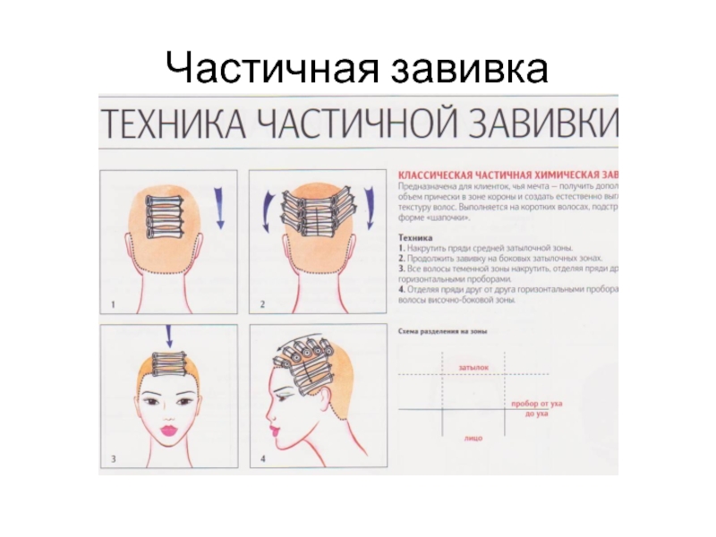 Химическая и биологическая защита растений