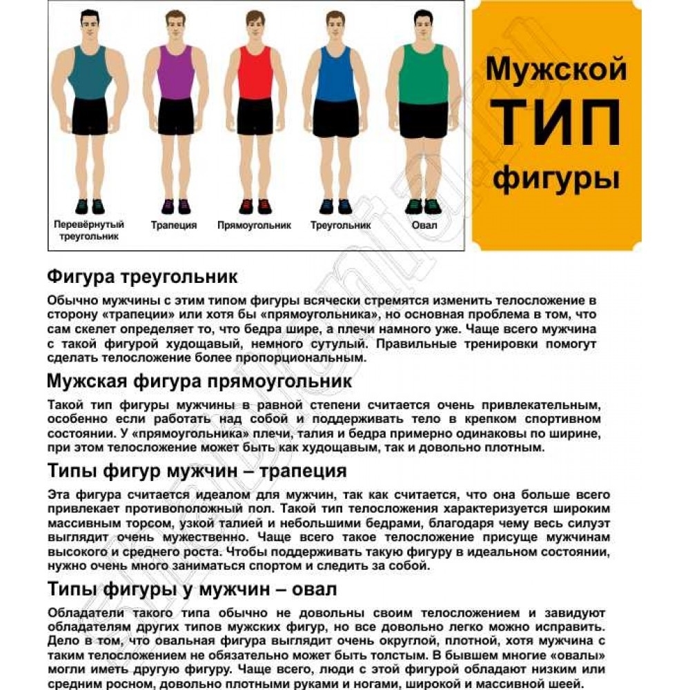 Описание типов фигур. Типы мужских фигур. Типы телосложения у мужчин. Тип мужской фигуры прямоугольник. Типы фигур у мужчин и женщин.